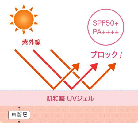 「SPF50+/PA++++」で日中の紫外線を徹底的に寄せつけない